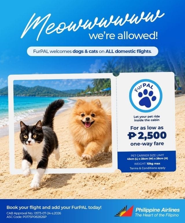 Both cats and dogs can now fly under Philippine Airlines' FurPAL program.